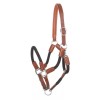 Kavalkade rope halter set Cavo