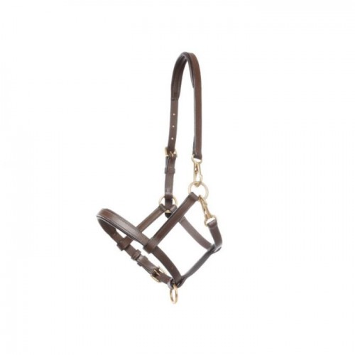 Kavalkade Foal Halter Leather