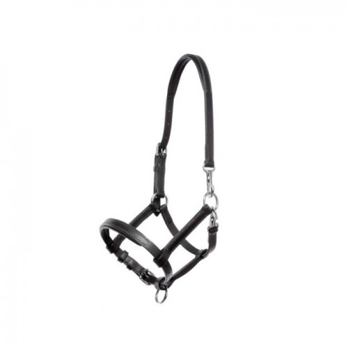 Kavalkade Foal Halter Leather