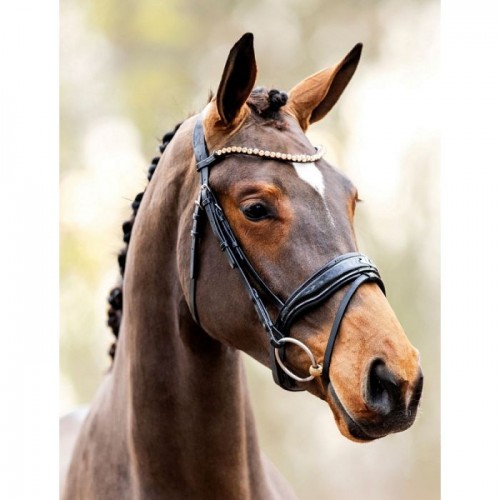 HB Showtime Bridle Rose gold