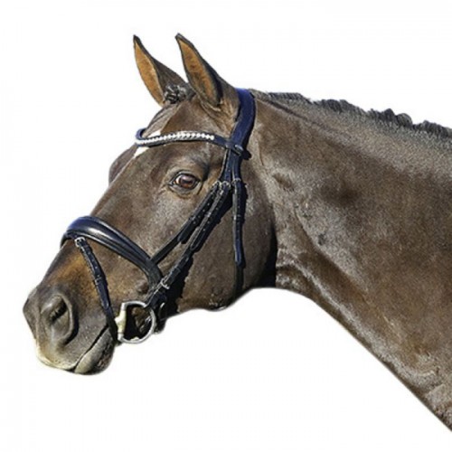 Euroriding La Rochelle bridle with Swedish noseband