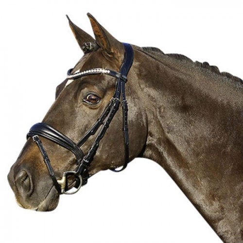 Euroriding La Rochelle bridle with Swedish noseband