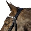 Euroriding La Rochelle bridle with Swedish noseband