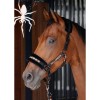 Harry's Horse Halter Set Halloween
