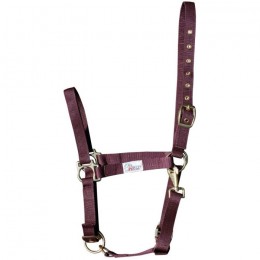 Harry's Horse Halter 3x adjustable