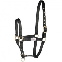 Harry's Horse Halter Controller Black