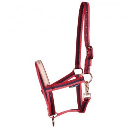 Harry's Horse SS'25 Foal Halter