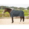 Harry's Horse Outdoorrug Thor 100