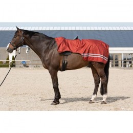 Harry's Horse FW'22 Exercise Sheet Waterproof 0g Fleece