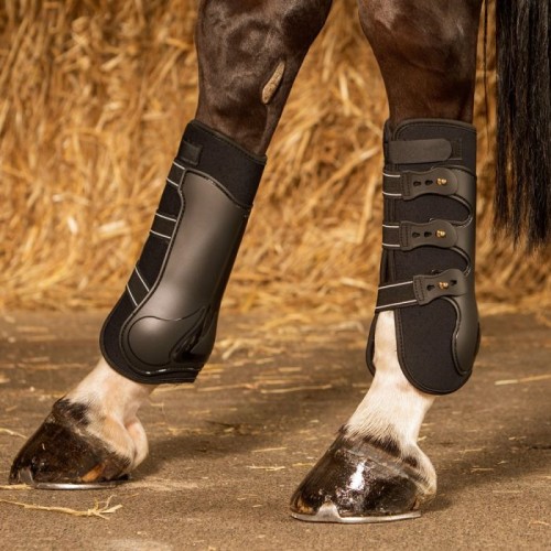 Harry's Horse Leg Guards Grand Prix (rear)