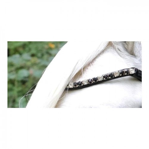 HB Showtime Bridle Special A-pony
