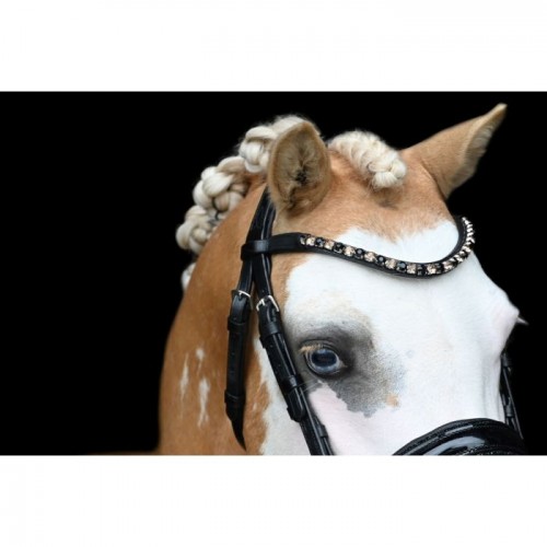 HB Showtime Bridle Special A-pony