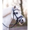 HB Showtime Bridle Special A-pony