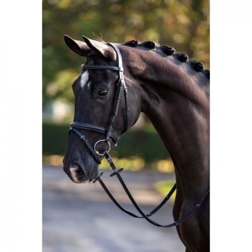 HB Showtime Bridle Standard