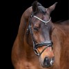 Imperial Riding FW'23 Bridle Olympia