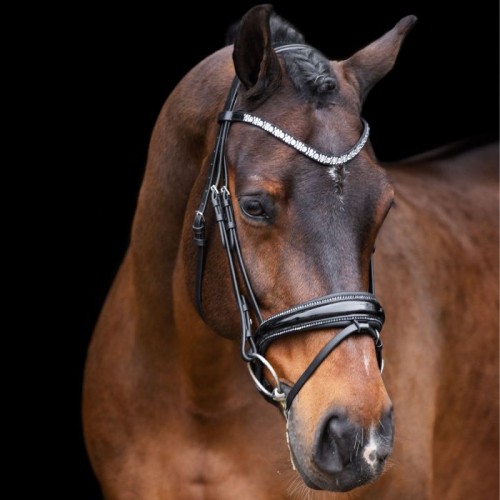 Imperial Riding FW'23 Bridle Olympia