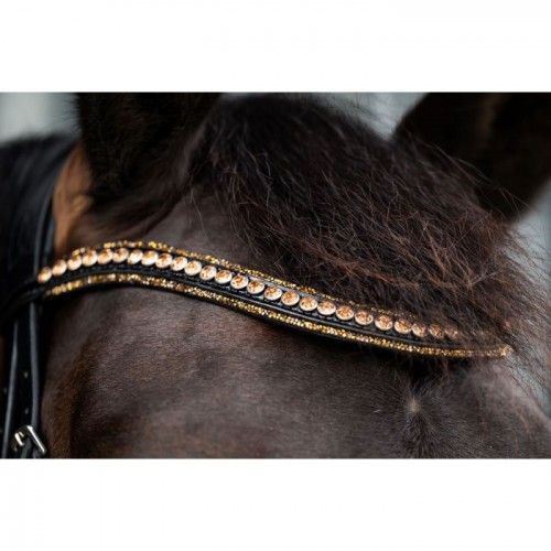 HB Showtime Bridle Golden Dreams