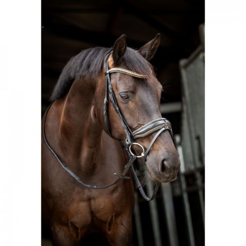 HB Showtime Bridle Golden Dreams