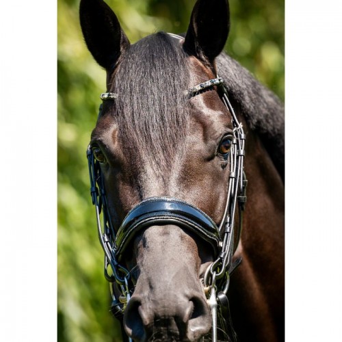 HB Showtime Double Bridle Special for You