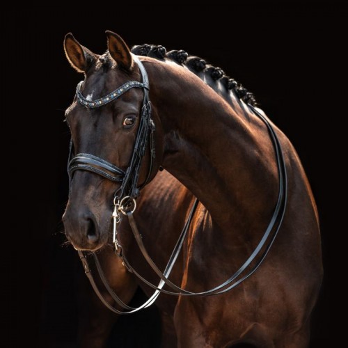 HB Showtime Double Bridle All You Needed