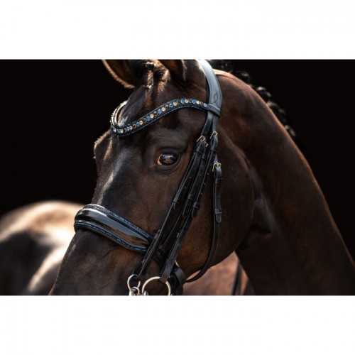 HB Showtime Double Bridle All You Needed