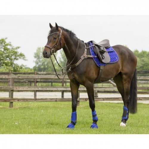 QHP Eventing hind leg protectors Technical