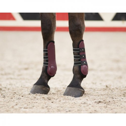 QHP Tendon Boots Champion