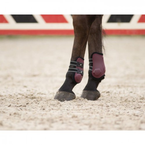 QHP Fetlock boots Champion