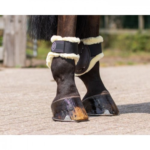 QHP Fetlock boots Tario