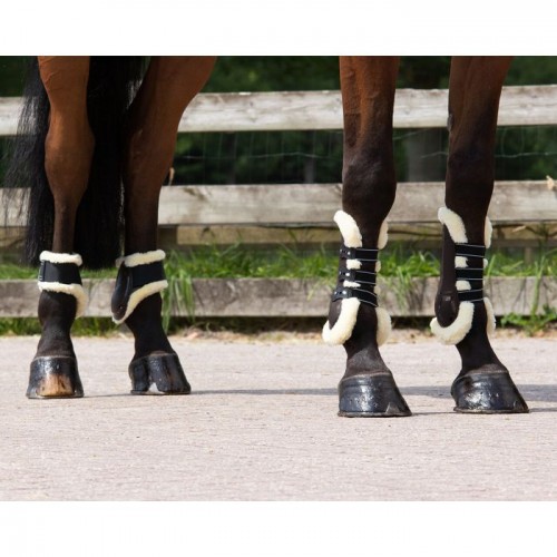 QHP Fetlock boots Tario