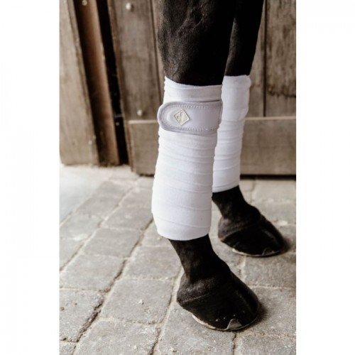 Kentucky Polar Fleece Bandages Pearls