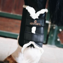 Kentucky Brushing Boots Leather Hind