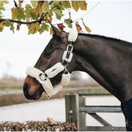 Kentucky Sheepskin Shipping Halter