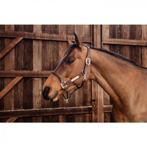 Kentucky Leather Rope Halter