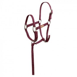 Premiere Foal Halter Brisk