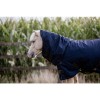 Kentucky Turnout Rug All Weather Waterproof Pro 300g Tiny