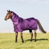 Kentucky Turnout Rug All weather Waterproof Pro 160g Royal Purple