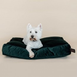 Kentucky Dog Bed Pillow Velvet