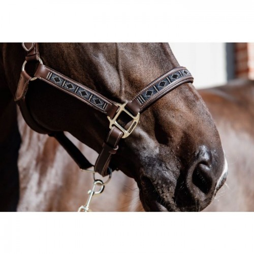 Kentucky Pearls Halter