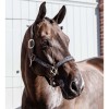 Kentucky Pearls Halter