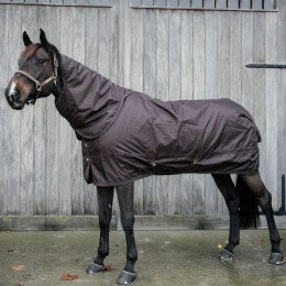 Kentucky Turnout Rug All Weather Waterproof Pro 160g Brown