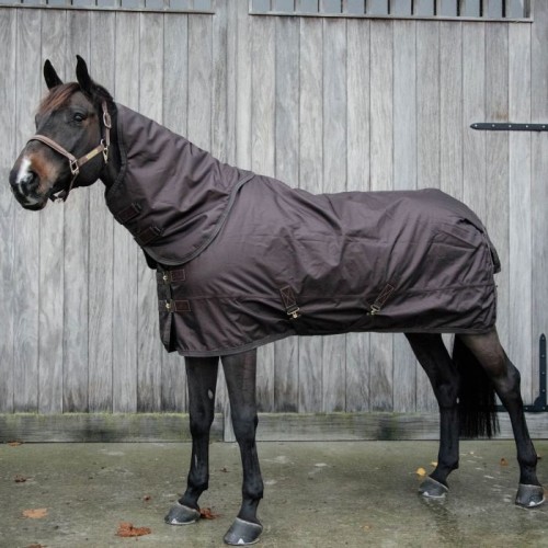 Попона Kentucky Turnout All Weather Waterproof Pro 160 г коричневого цвета