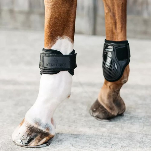 Kentucky Young Horse Fetlock Boots