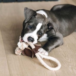 Kentucky Dog Toy Cotton Rope Baseball