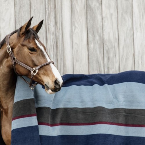 Kentucky Heavy Fleece Rug Square Stripes