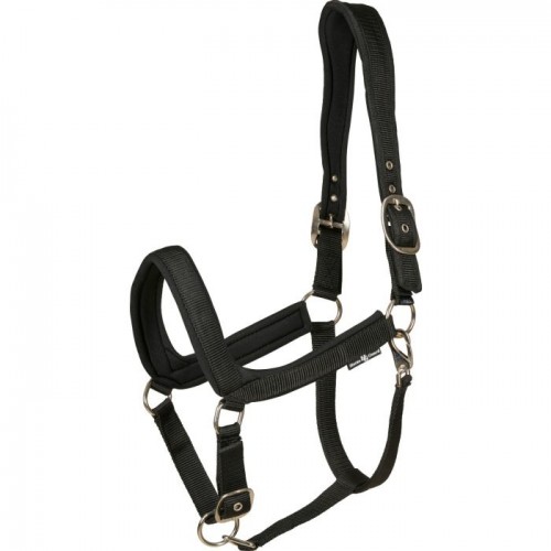 Horseguard anatomic halter