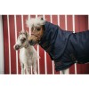 Kentucky Turnout Rug All Weather Waterproof Pro 300g Tiny