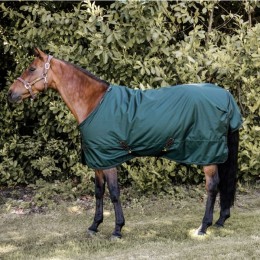 Kentucky Turnout Rug All weather Waterproof Pro 160G