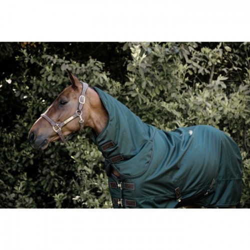 Kentucky Turnout Rug All weather Waterproof Pro 160G