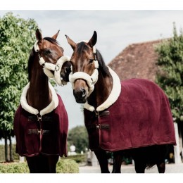 Kentucky Fleece Show Rug Heavy Bordeaux